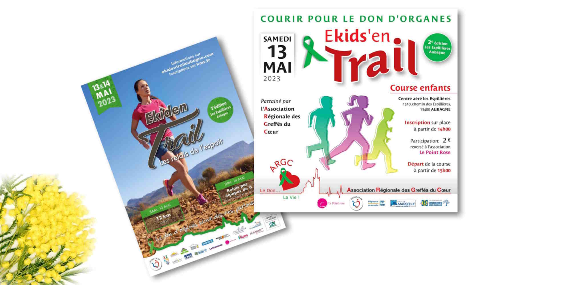 Trail Cuges les pins